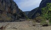Trail Walking Labastide-de-Virac - Les gorges par 1000 étoiles  - Photo 9