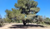 Tour Wandern Martigues - le parc de Figuerolles - Photo 1