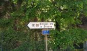 Trail Walking Les Houches - Les Gorges de la Diozaz  - Photo 11