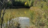 Randonnée Marche Méounes-lès-Montrieux - Chartreuse de Montrieux, lac et vallée du Gapeau - Photo 9