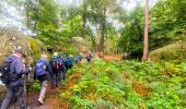 Excursión A pie Fontainebleau - Fontainebleau les monts de Fay - Photo 19