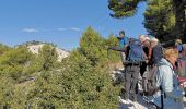 Trail Walking Le Revest-les-Eaux - Tourris pyramide de Cassini - Photo 3