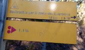 Trail Walking Saillans - Le Serre des 3 Bornes - Photo 3