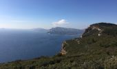 Trail On foot Cassis - Sentier du Cap Canaille - Photo 5