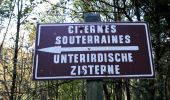 Trail Walking La Petite-Pierre - samedi - Photo 19