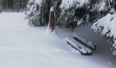 Randonnée Raquettes à neige Le Hohwald - rptlch - Photo 5