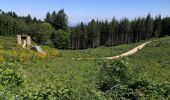 Trail Walking Chevinay - Saint Bonnet Le Froid - Les tours - Photo 2