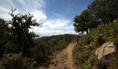 Trail On foot Moio Alcantara - Moio Alcantara - Monte Cerreto - Photo 4