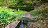 Tour Wandern Libramont-Chevigny - Balade à Remagne - Libramont-Chevigny - Photo 17