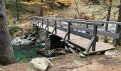 Excursión Senderismo Saint-Martin-Vésubie - Le Boreon  - Photo 2