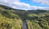 Trail Walking Bouillon - rando rochehaut 5-10-2024 - Photo 2