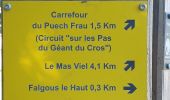 Randonnée Marche Mounes-Prohencoux - Mounes le circuit du geant - Photo 9