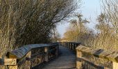 Percorso A piedi Sconosciuto - Holzweg (Rieselfelder Münster) - Photo 3