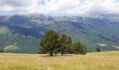 Tour Wandern Prats-de-Mollo-la-Preste -  Siern Pregon Tours de Mir_T - Photo 2