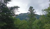 Tocht Stappen Wegscheid - Sattelboden Stahlberg - Photo 2