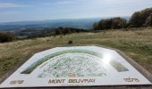 Randonnée Marche Glux-en-Glenne - Glux - Mt Beuvray - Photo 4