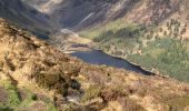 Tocht Stappen The Municipal District of Wicklow - Glendalough  - Photo 8