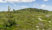 Tour Wandern Le Béage - Le tour des cinq sucs au départ du Béage - Photo 2