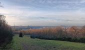 Percorso Marcia Liegi - angleur . bois saint Jacques / bois Saint Laurent. angleur - courte - Photo 2
