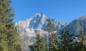 Trail Walking Chamonix-Mont-Blanc - 20231007 Chamonix Les Praz Balcon Sud - Photo 1