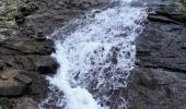 Tour Wandern Dinant - Les cascatelles au départ de Falmignoul - Photo 3