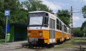 Excursión A pie Desconocido - Kamaraerdei tanösvény (Susulyka utca - Nagy-rét - Kamara-erdő, erdészház) - Photo 2