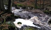 Tour Wandern Jalhay - pont de belle heid la vallée de la hoegne - Photo 2