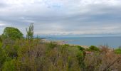 Tocht Stappen Argelès-sur-Mer - racou -  risque de portails (par les bois) port argeles (par la mer) le racou - Photo 14