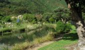 Excursión A pie Unknown - Wainuiomata Hill Shared Path - Photo 4