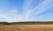 Trail Walking Durbuy - trek GR57 étape 5 : Bomal-sur-Ourthe - Weris - Photo 4