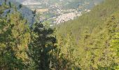 Tocht Stappen Châtillon-en-Diois - chatillon en Diois. les oursieres  - Photo 6