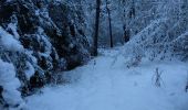 Tocht Sneeuwschoenen Andon - Descente vers le Loup en raquettes - Photo 8