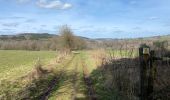 Tocht Stappen Manhay - Malempré Oster Aisne 24,5 km - Photo 12