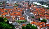 Tour Zu Fuß Unbekannt - Wanderweg Königstuhl 9 nach Heidelberg - Photo 4