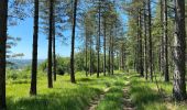 Trail Walking Rochefort - Wavrielle  12-06-20 - Photo 14