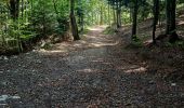 Trail Walking Montaud - dent de Moirans  - Photo 2