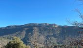 Tour Wandern Mazaugues - Mourre d'Agnis  - Photo 14
