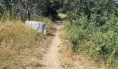 Percorso Quad Collioure - Collioure - Villeneuve-de-la-Raho  - Photo 2