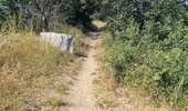 Tour Quad Collioure - Collioure - Villeneuve-de-la-Raho  - Photo 2