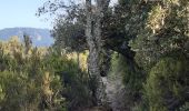 Trail Walking Laroque-des-Albères - laroque . fontaine dels simino - Photo 5