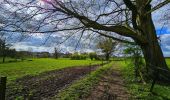 Tocht Stappen Thuin - Balade à Thuillies - Photo 2