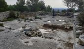 Excursión Senderismo Les Baux-de-Provence - autour des baux - Photo 18