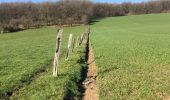 Tocht Stappen Ferrières - Palogne hamoir Palogne  - Photo 11