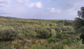 Tour Wandern Roquebrune-sur-Argens - Blavet selon François  - Photo 2