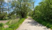 Percorso Marcia Malines - Malines ouest 18,3 km - Photo 3