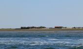 Tocht Motorboot Arcachon - Tour de l'île aux Oiseaux - Photo 10