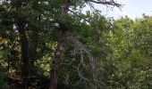 Tour Wandern Saint-Nectaire - LES GROTTES DE CHATEAUNEUF DEPUIS LE CAMPING DU VIGINET - Photo 4