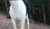 Trail Horseback riding Métairies-Saint-Quirin - point de vue abreschviller  - Photo 12