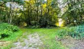 Trail Walking Largny-sur-Automne - en Forêt de Retz_90_09_2021_la Selve - Photo 8
