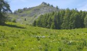 Trail Walking Saint-Apollinaire - Serre de Mouton en boucle  - Photo 1
